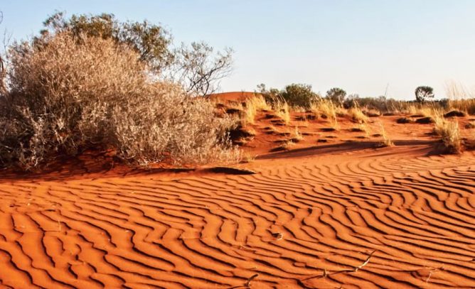 Outback sand and spinifex