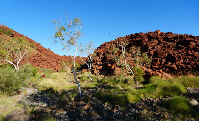 Kimberley terrain with rock formations scattered among low shrubs.